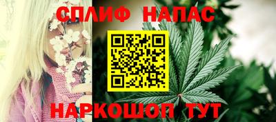 тгк Канаш