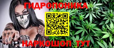 мет Камышлов